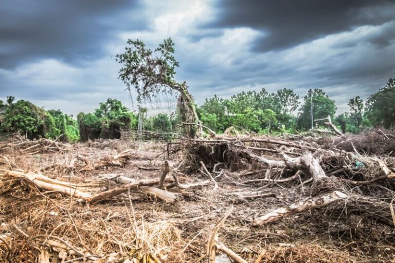 Proyecto MAIA: Adaptación al cambio climático