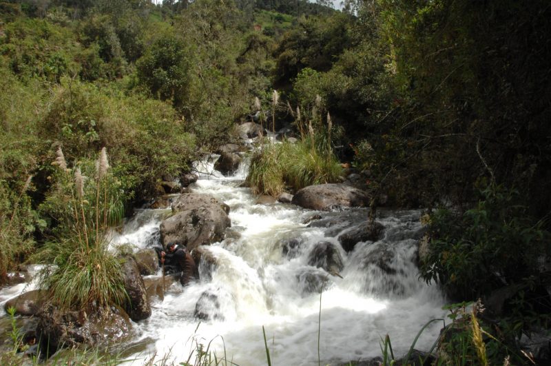 Refugio de Vida Silvestre Machángara Tomebamba