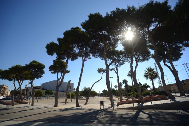 Torre Pacheco: Proyecto de renaturalización de la Rambla Sur