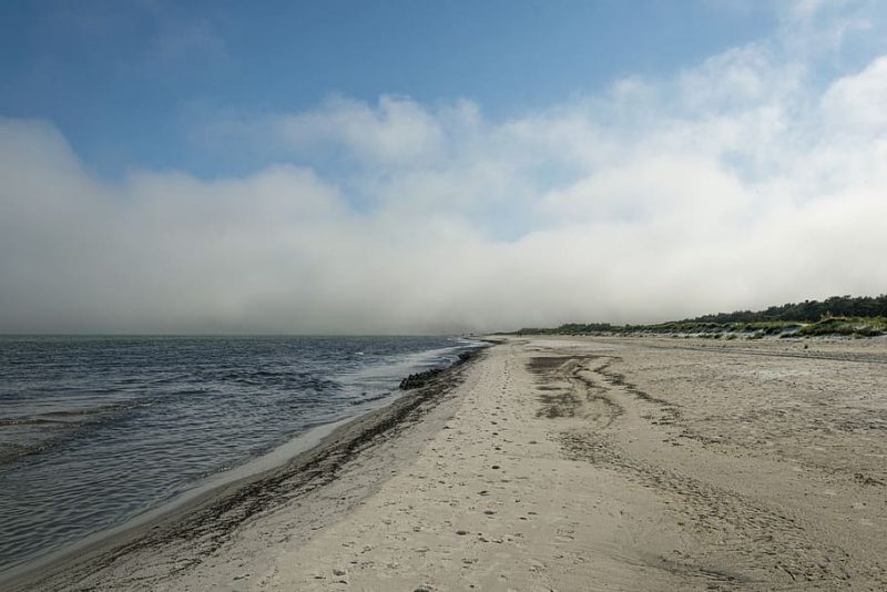 beach baltic sea coast sand vacations water e1697727730820