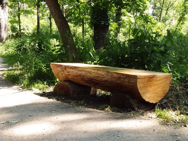 Día Mundial de las Ciudades 2023