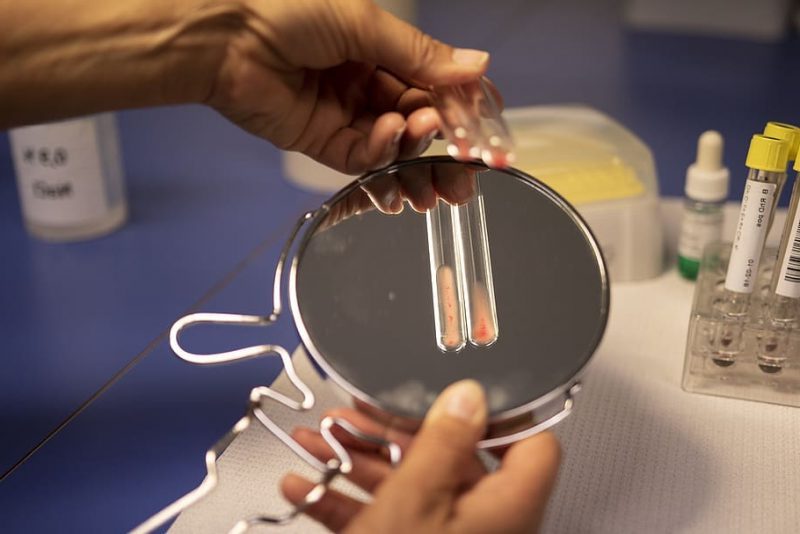 Preservar material genético para evitar extinciones en EEUU