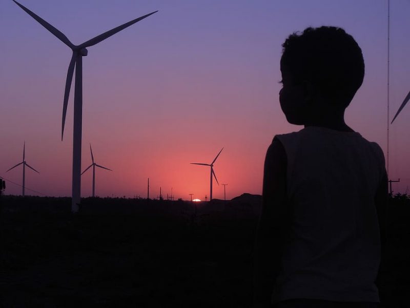 Manifiesto científico por biodiversidad y renovables responsables