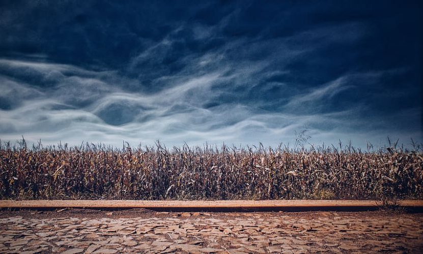 La agricultura y las emisiones son nefastas para la Biodiversidad