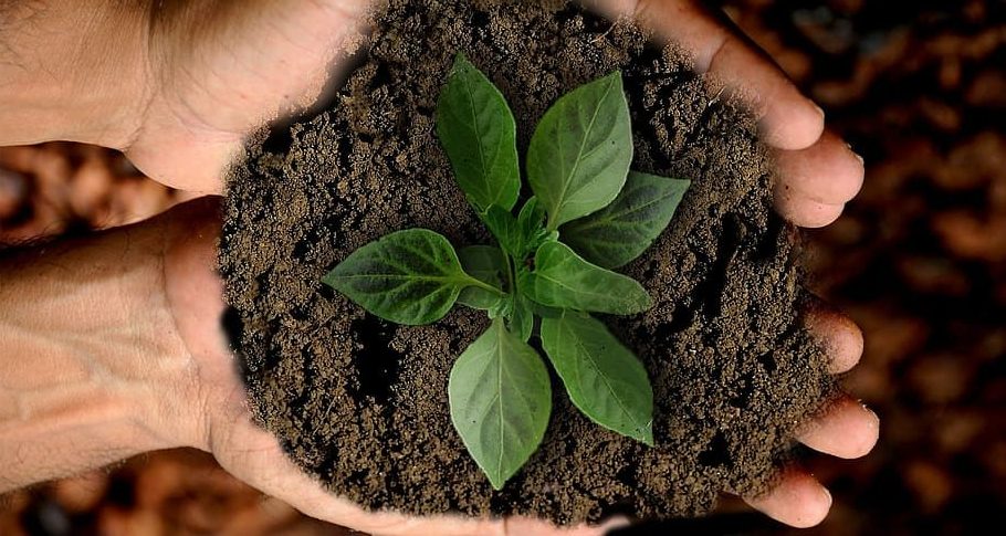 Primera y exitosa jornada de SOILUZIOAK 2023