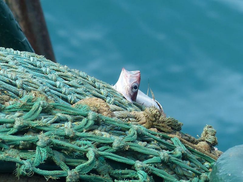 Al Mediterráneo se le acaba el tiempo