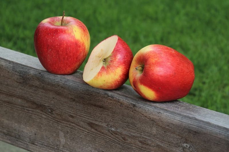 alimentos ecológicos, actualidad española