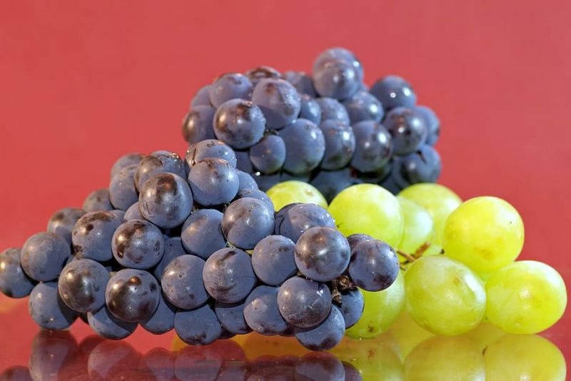 Las uvas son excelentes para la salud ocular dice la ciencia