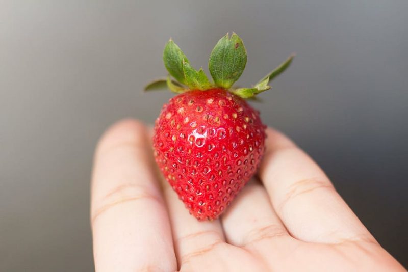 Los europeos reniegan de la fruta ilegal de Doñana