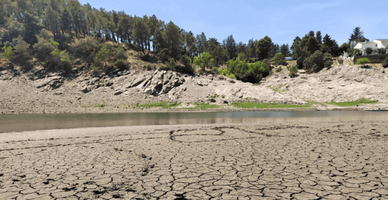Ministerio de Ciencia: fondos para I+D+I sobre cambio climático