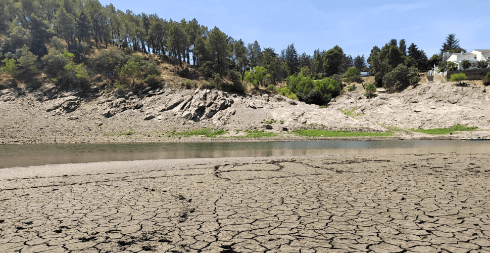 Ministerio de Ciencia: fondos para I+D+I sobre cambio climático