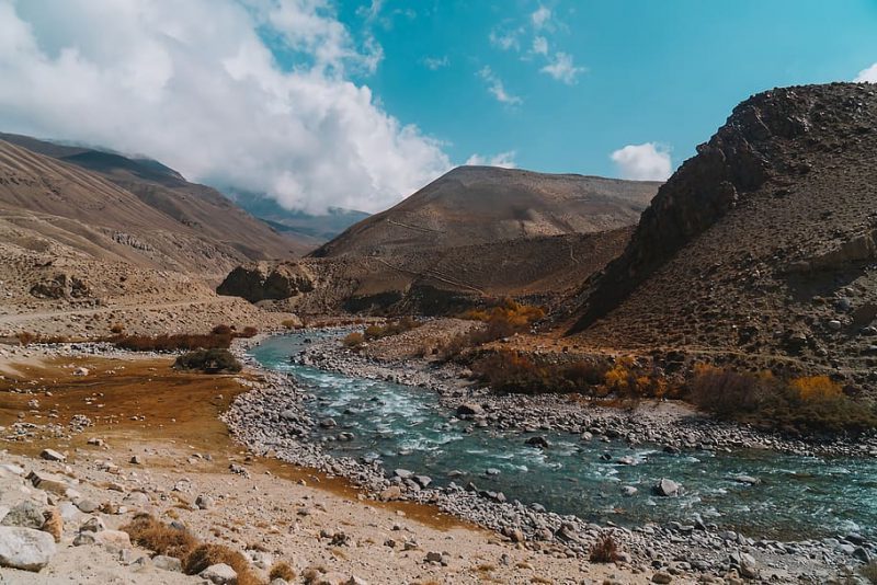 ¿Cómo combatir el sobrecalentamiento de los ríos por las sequías?