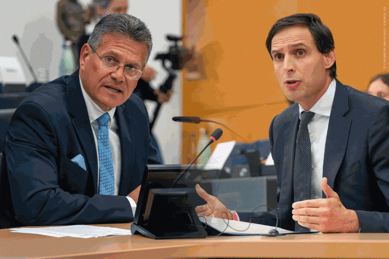 ¿Quién es el nuevo Señor Clima del Parlamento Europeo?