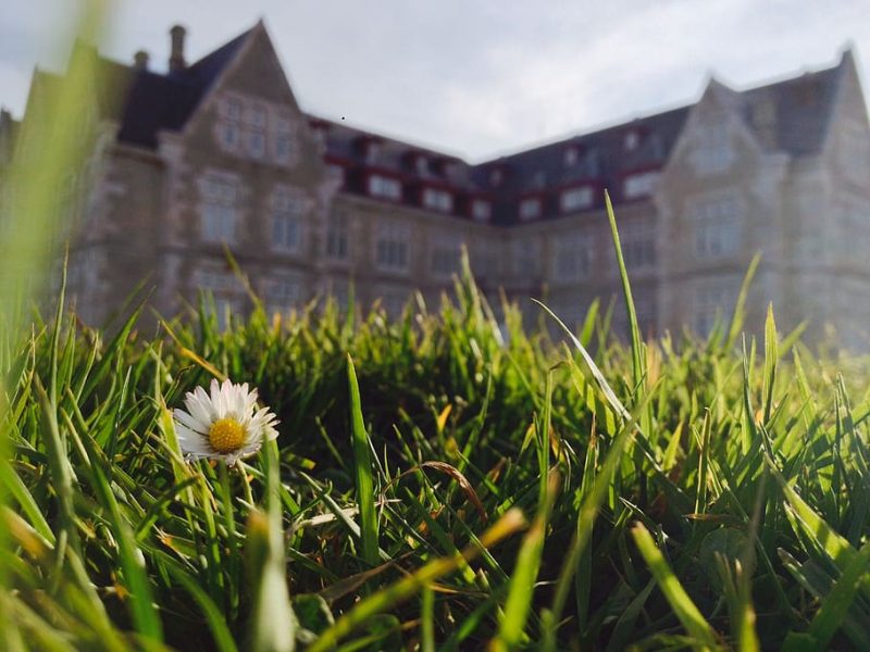 Santander Capital Natural galardonada con el Sustainability Actions