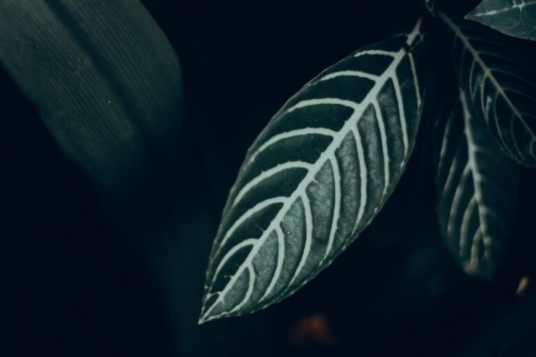 pexels photo 12669694 e1696946793724 1