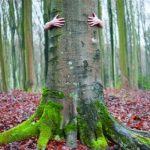 Día Mundial de la Ecología 2023