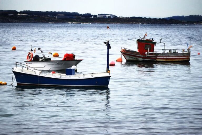Jornadas CC Sur: no hay pesca sostenible sin diálogo