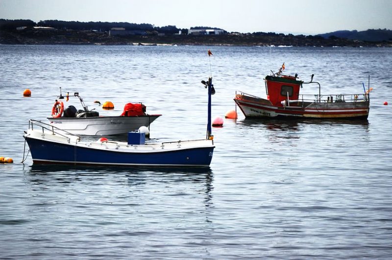 Jornadas CC Sur: no hay pesca sostenible sin diálogo