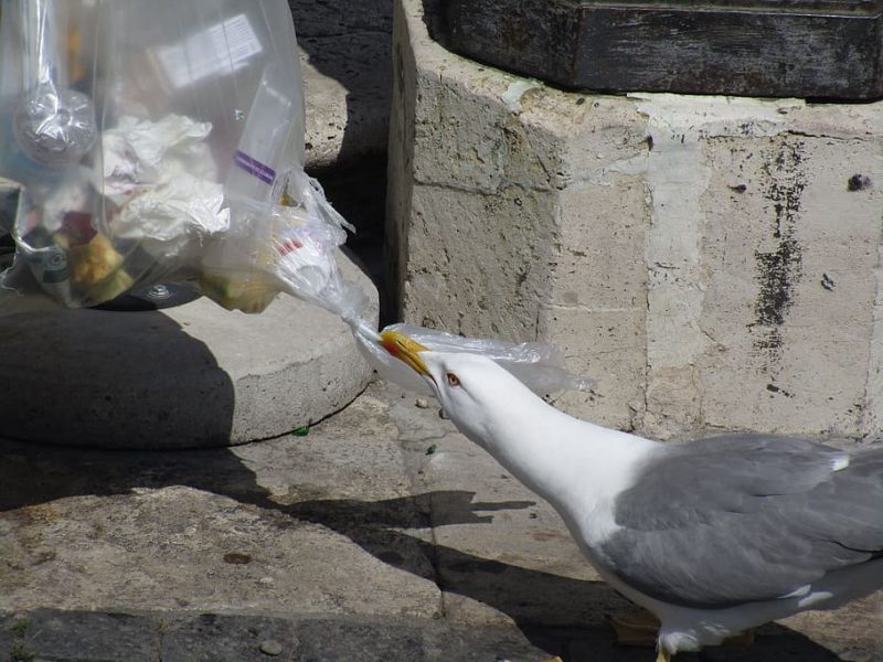 Las grandes empresas siguen apostando por el plástico