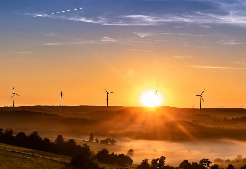 Participa en la Asamblea Ciudadana por el Clima de Cataluya