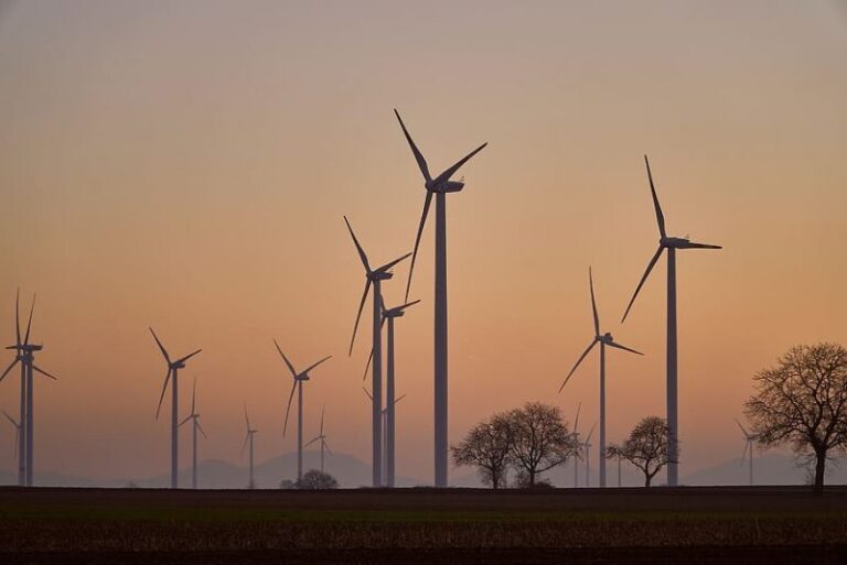 Apoyo europeo inmediato a la energía eólica