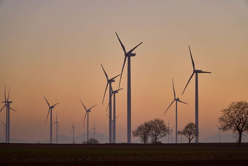 Apoyo europeo inmediato a la energía eólica