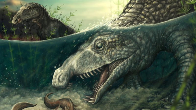 Qué comían los 'ornitosúquidos' hace 220 millones de años