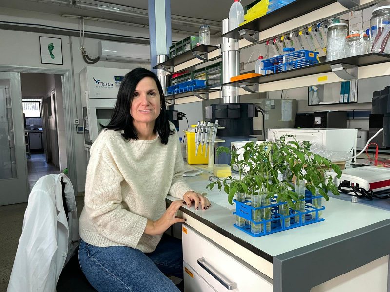 Microorganismos para 'inmunizar' de las plagas a las plantas