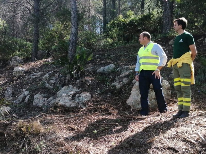 Andalucía: Actuaciones selvícolas para evitar incendios forestales