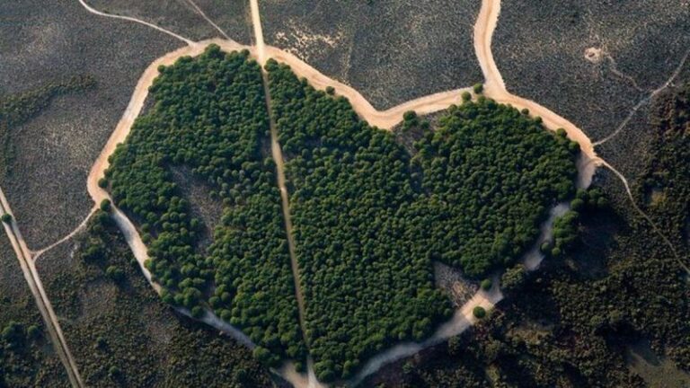 Andalucía destina más de 900 millones para su 'Revolución Verde'