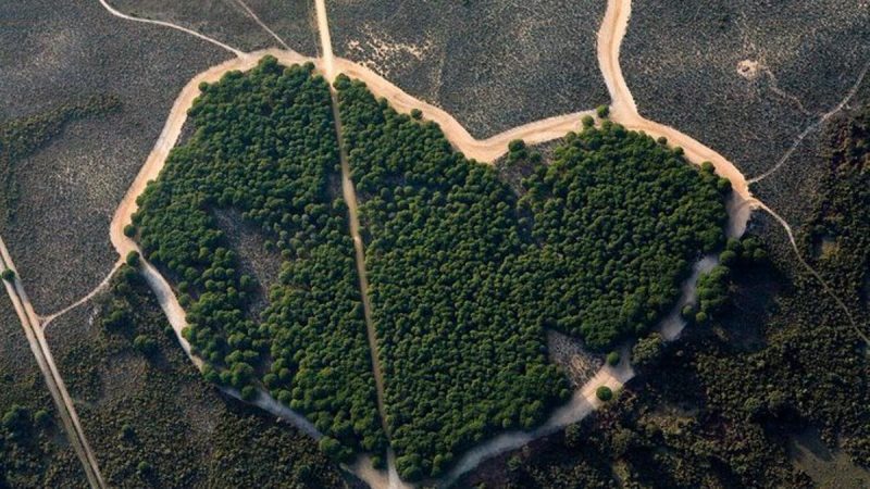 Andalucía destina más de 900 millones para su 'Revolución Verde'