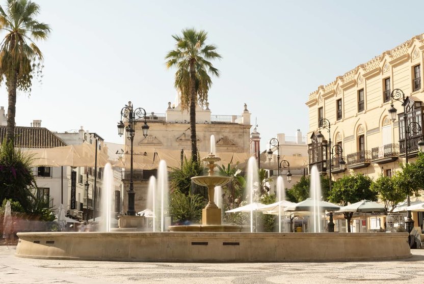 Arboricidio en Sanlúcar de Barrameda