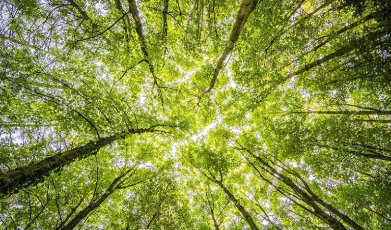 Arranca el 'Consejo Andaluz del Clima'
