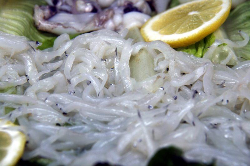 Asturias tiene un 'problema' con la pesca de la angula