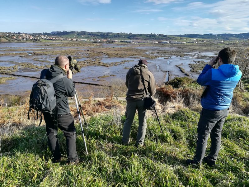 Becas para Jóvenes Investigadores y Eduardo de Juana 2024