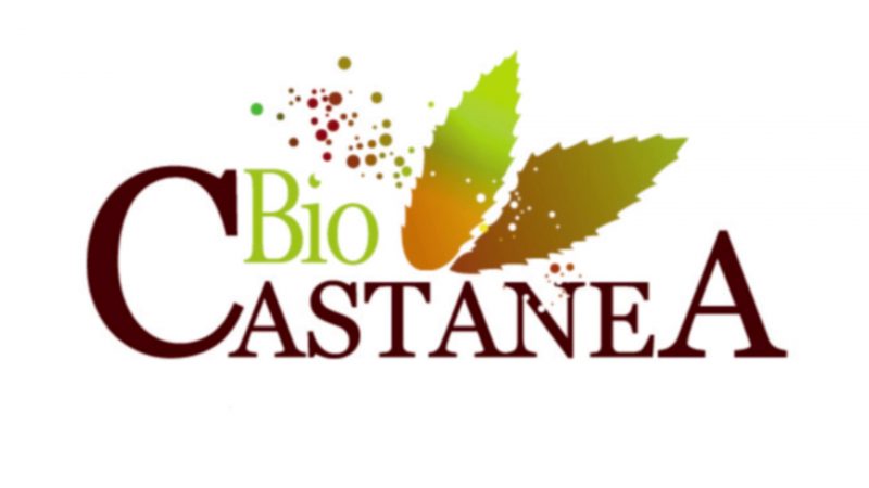 Biocastanea 2023