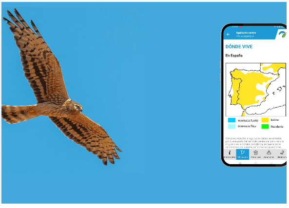 88 especies se suman a la Guía de Aves de España