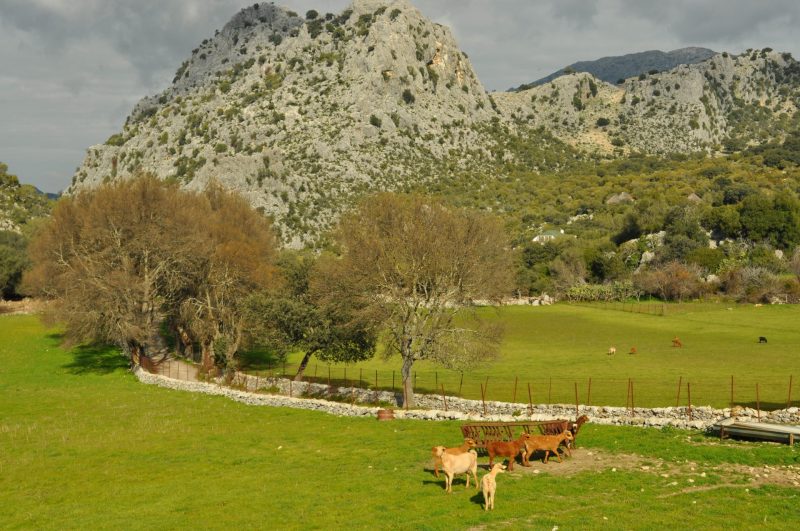 Certificación de la marca ‘Parque Natural de Andalucía’