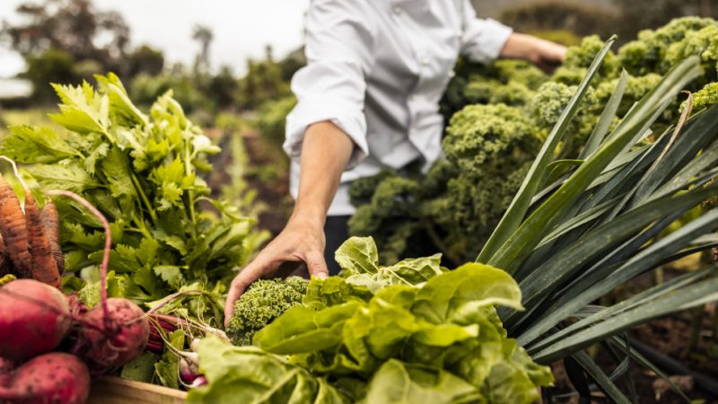 Chefs Estrella Michelín con la cocina 'sostenible'