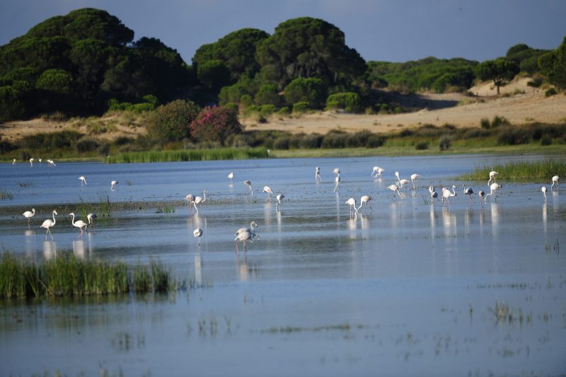 Cuestionado el plan hidrológico del Tinto, Odiel y Piedras