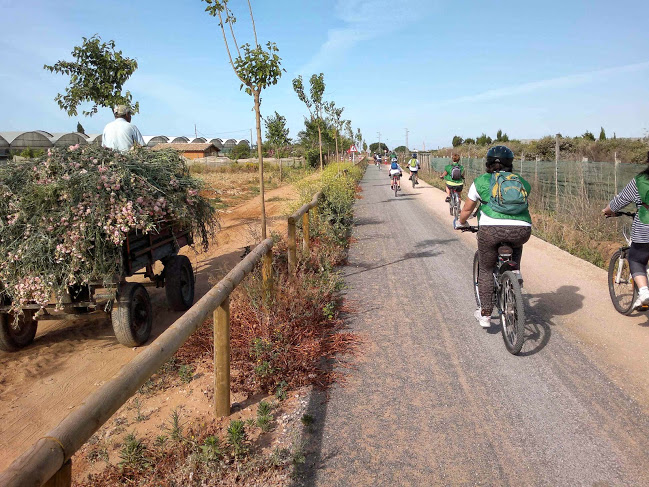 Desidia en la 'vía verde' Entre Ríos