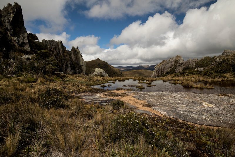 Ecuador: Conoce la Reserva Cerro de Arcos