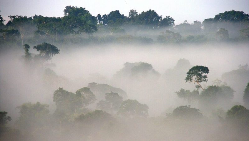 El cambio climático en la Amazonia se convierte en lluvias al sur