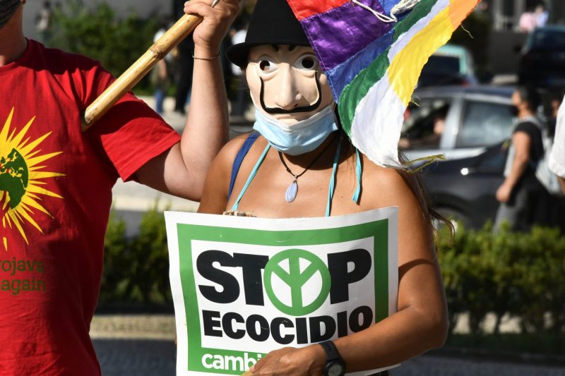 El espíritu del 'ecocidio' llega a la Unión Europea