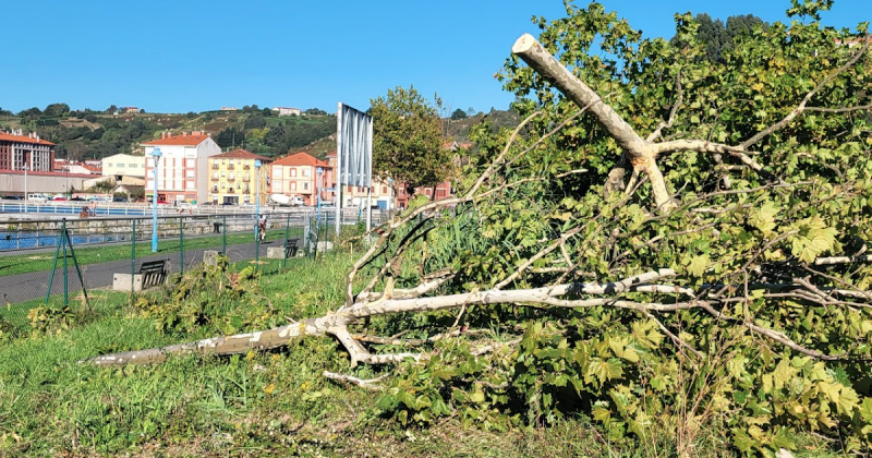 El 'insostenible' proyecto de Iberdrola en Barakaldo y Trapagaran