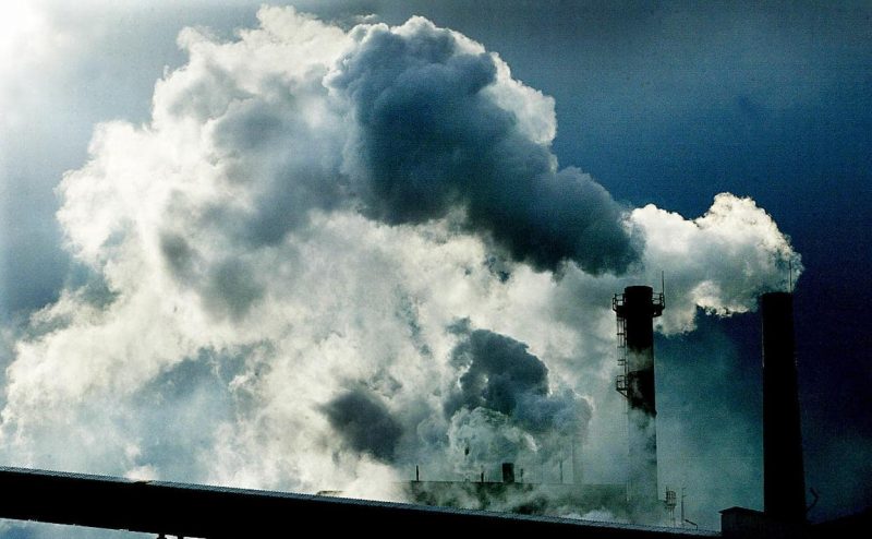 España va un paso por delante de Europa en la absorción de CO2