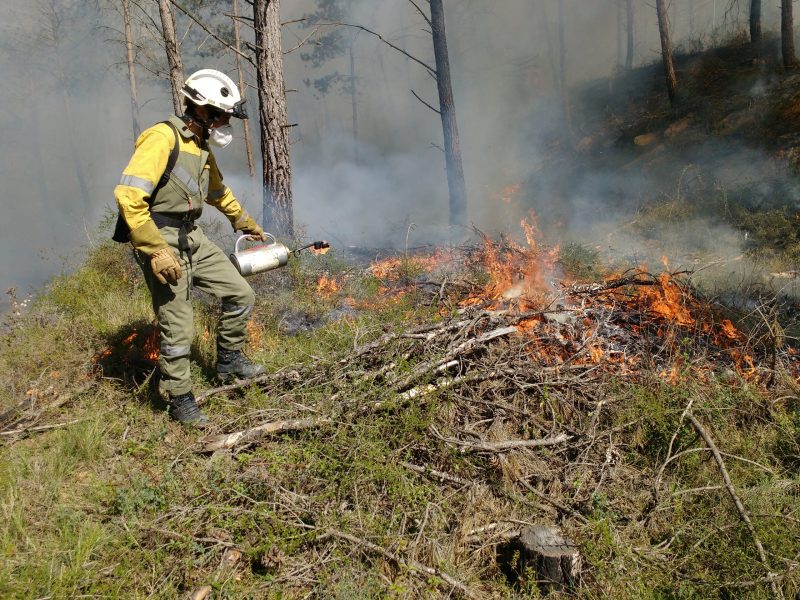 Evitar incendios forestales con fuego