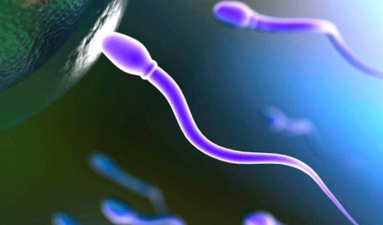 Hasta el 'esperma' está contaminado