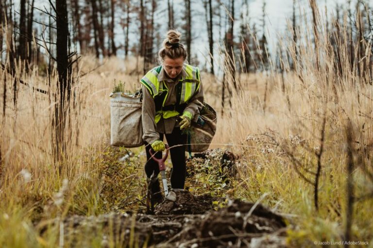 Hay que mejorar el 'Reglamento de Restauración de la Naturaleza'