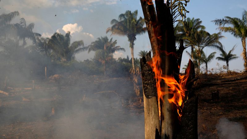La Amazonía boliviana 'arde' por los cuatro costados